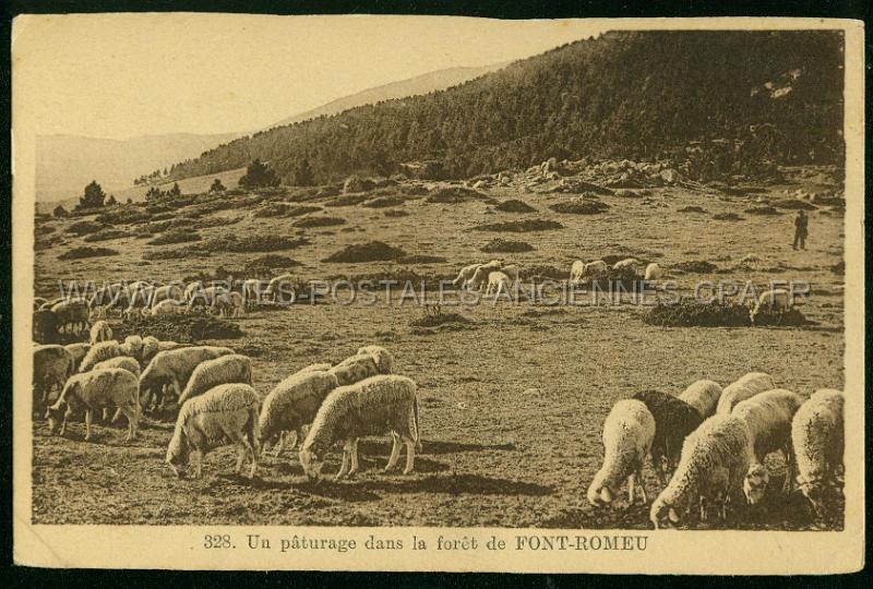 Cartes postales anciennes 12763.jpg